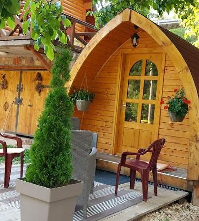 Vila Jelena - Bungalov Crni Vrh Dış mekan fotoğraf