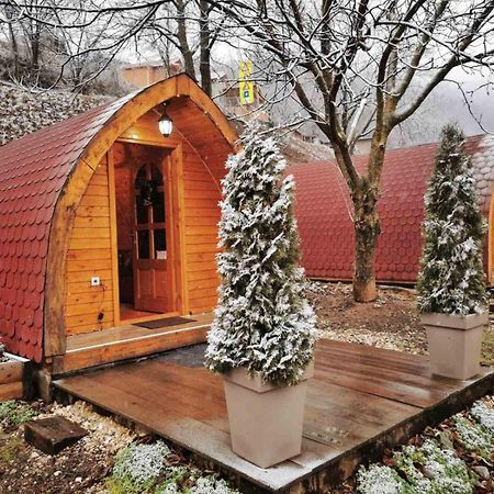 Vila Jelena - Bungalov Crni Vrh Dış mekan fotoğraf
