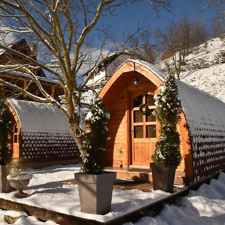 Vila Jelena - Bungalov Crni Vrh Oda fotoğraf