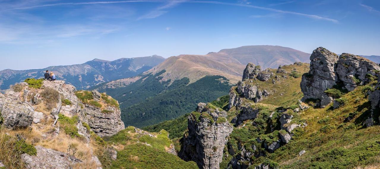 Vila Jelena - Bungalov Crni Vrh Dış mekan fotoğraf