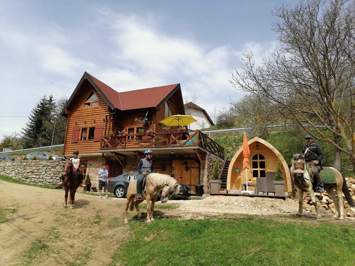 Vila Jelena - Bungalov Crni Vrh Dış mekan fotoğraf