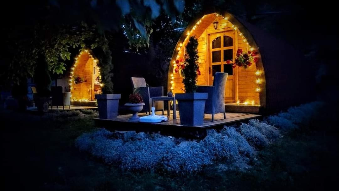 Vila Jelena - Bungalov Crni Vrh Dış mekan fotoğraf